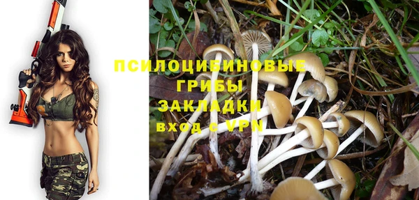 ECSTASY Дмитровск