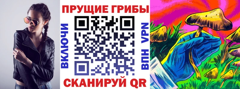 Псилоцибиновые грибы мицелий  Новочебоксарск 