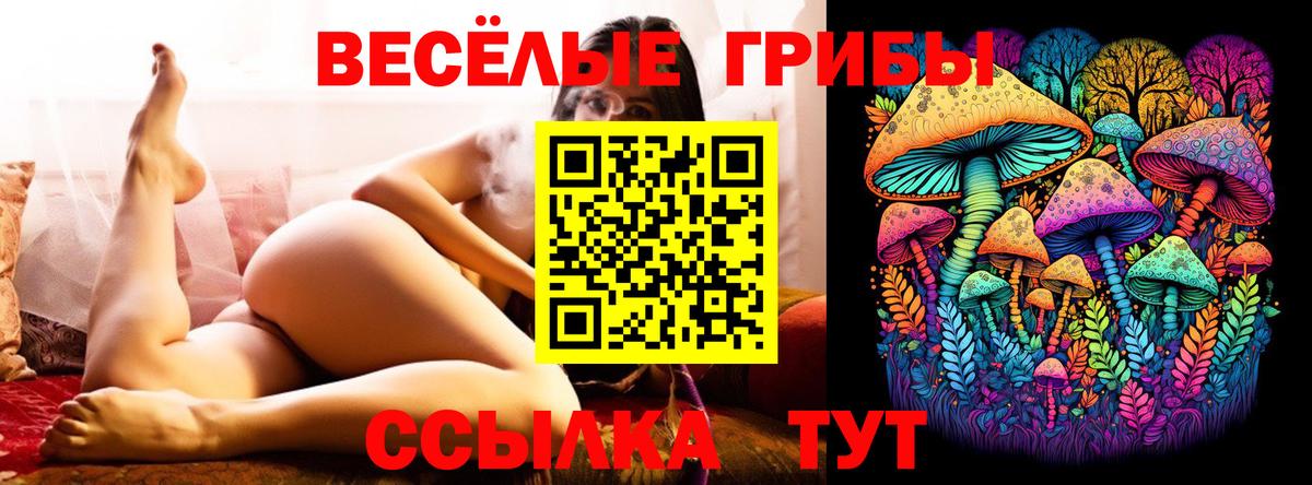Галлюциногенные грибы GOLDEN TEACHER  Псилоцибиновые грибы прущие грибы  Вход с VPN  Новочебоксарск 