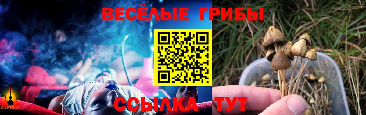 Псилоцибиновые грибы MAGIC MUSHROOMS Новочебоксарск